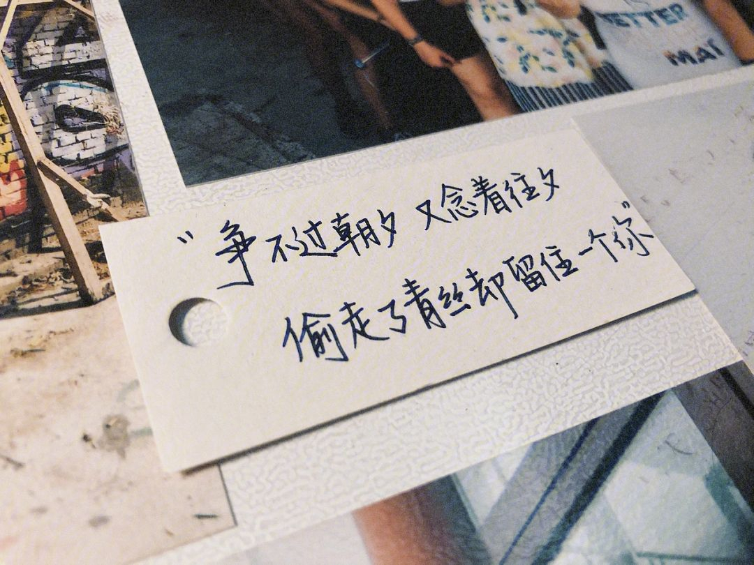 downloadfile-3.jpeg