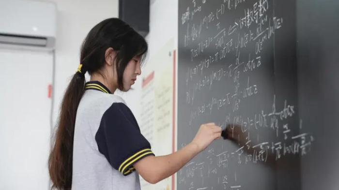 17岁的小女孩姜萍获得了全球12名的好成绩！